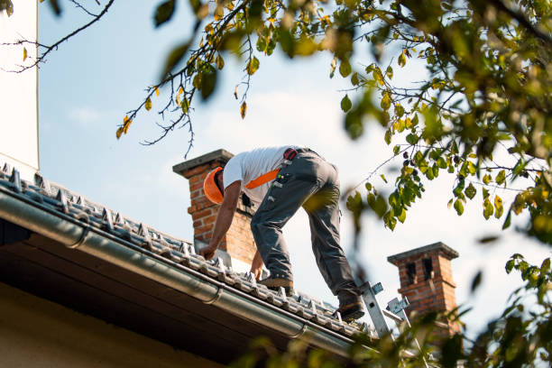 Best Roof Maintenance Services  in Grandview, WA